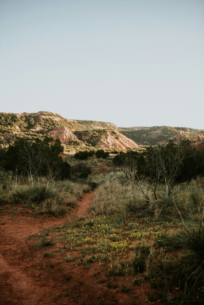 Texas landscape